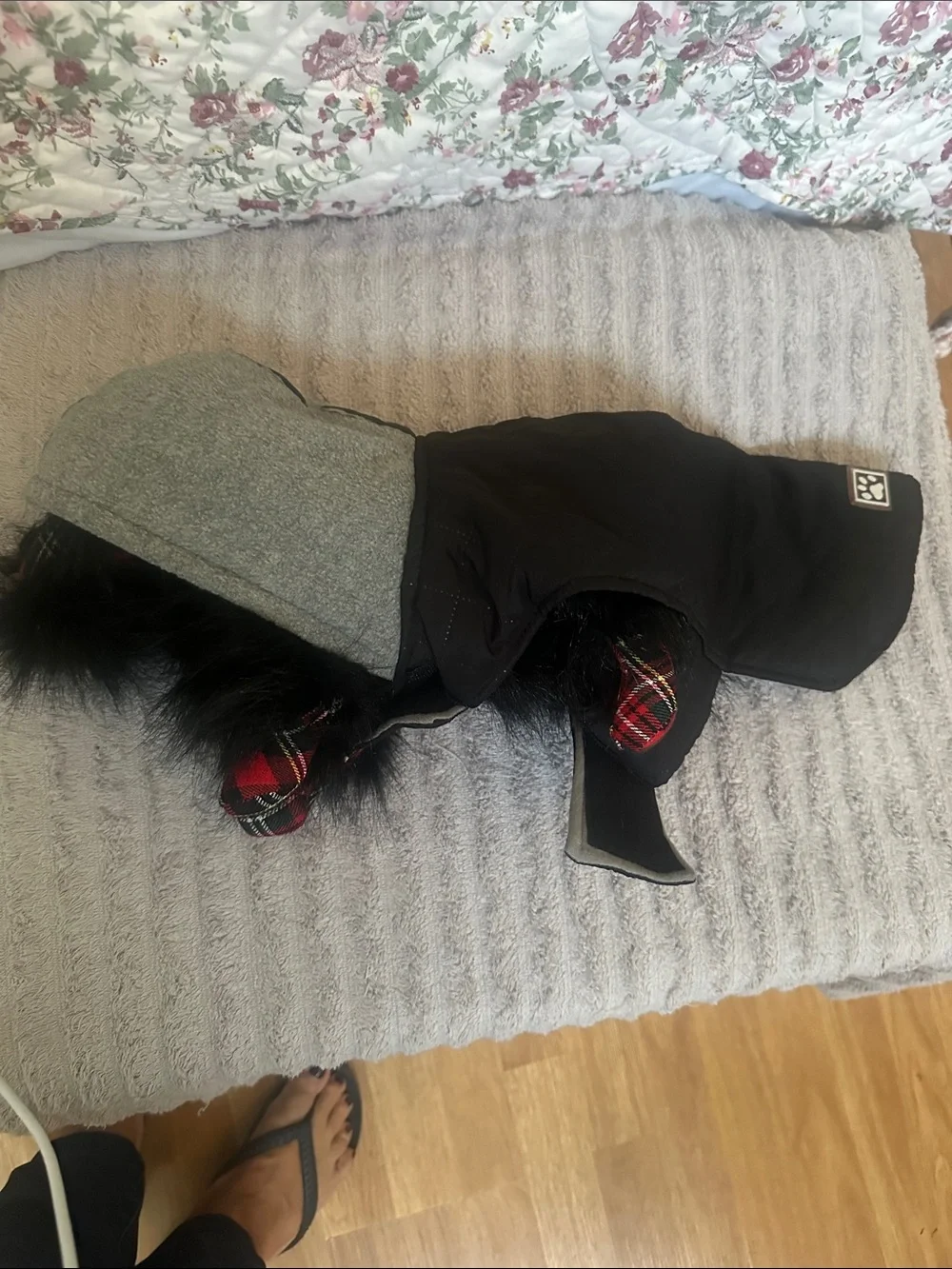 Dogs Quilted Black Hooded Jacket